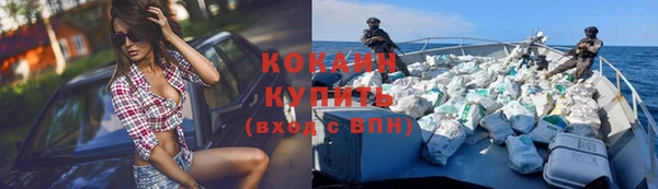 кокс Ростов