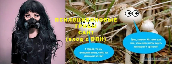 трава Верея