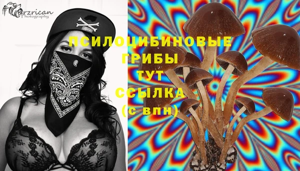 винт Верхний Тагил