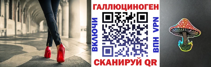 Псилоцибиновые грибы Psilocybine cubensis Губкинский
